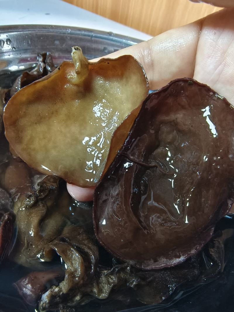 粤北特产木耳，一件代发微商代理