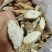 野生牛大力一件代发微商电商招代理