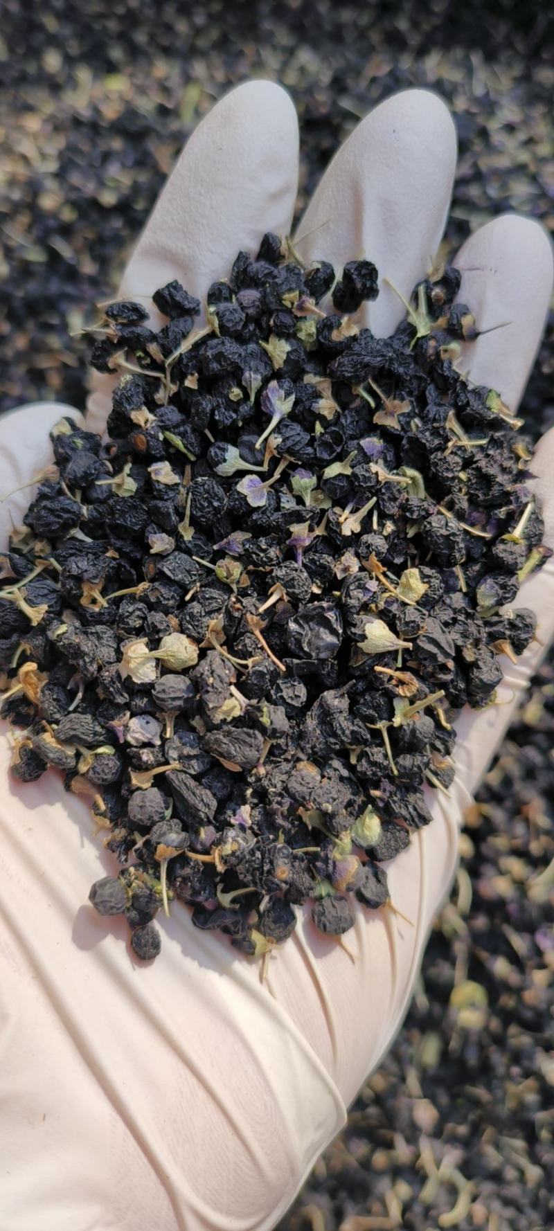 黑枸杞包邮干果规格齐全实物图拍摄500g一袋