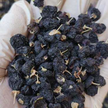 黑枸杞包邮干果规格齐全实物图拍摄500g一袋