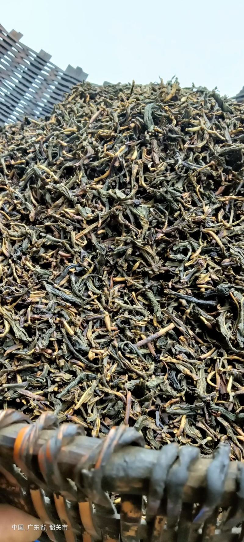 野生山茶，红茶，绿茶