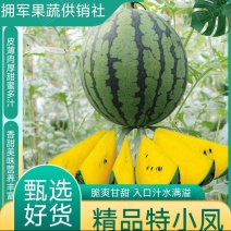 【实力代办】精品特小凤皮薄多汁甜度高货量稳定欢迎致电