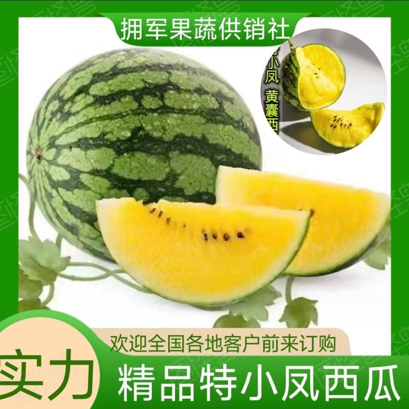 大棚种植精品特小凤西瓜皮薄多汁现摘现发大量上市中