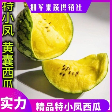 江苏精品特小凤西瓜大量上市中量大质优欢迎致电