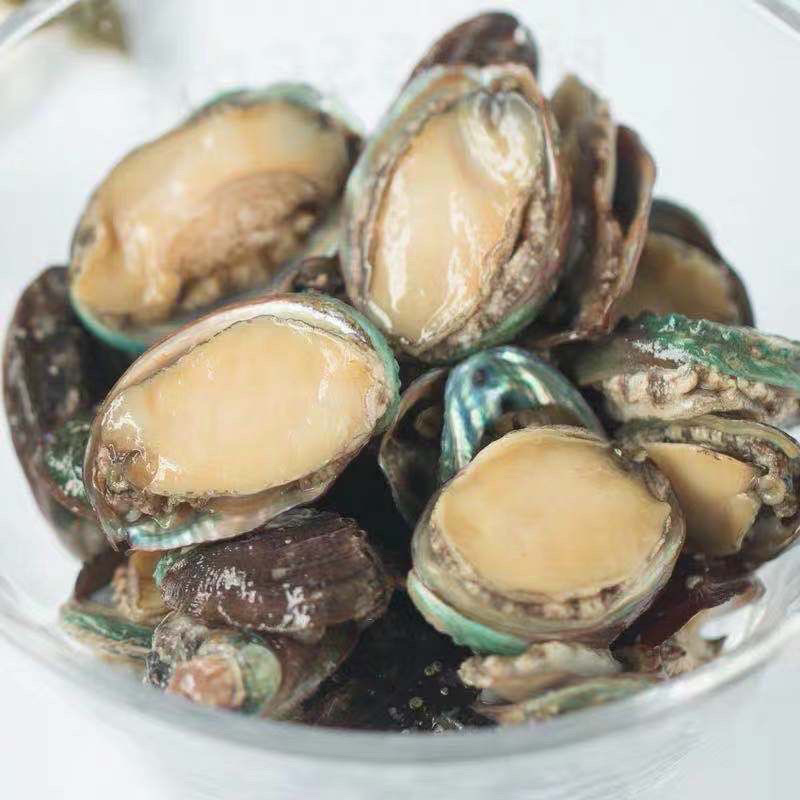 冷冻鲍鱼一件代发