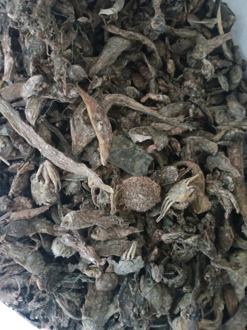 饲料鱼干小杂鱼自然晒干小白鱼皮皮虾螃蟹等