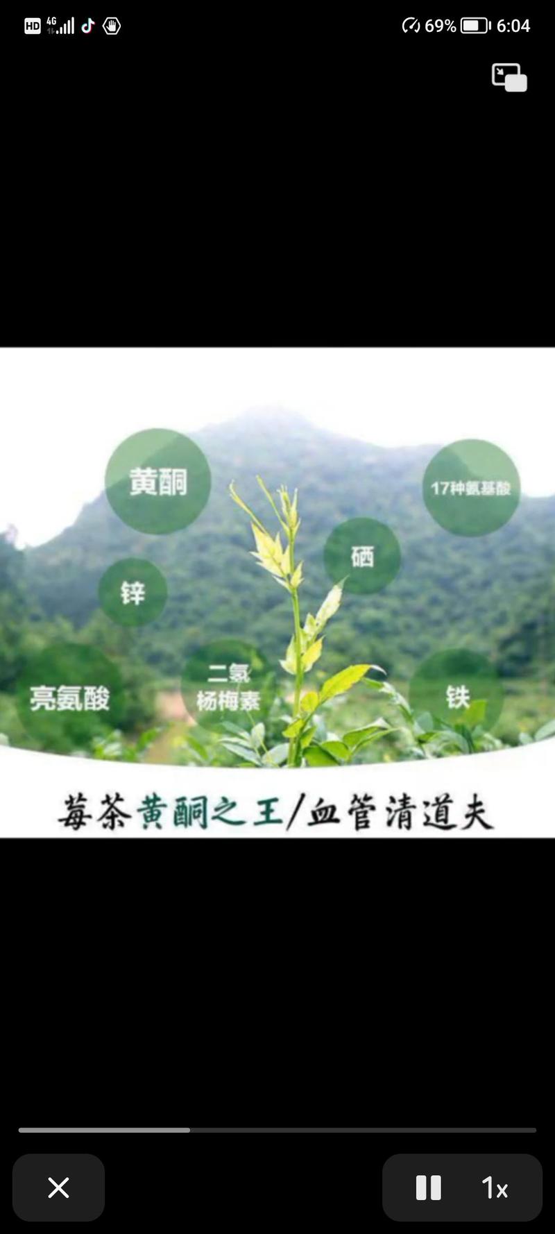 湖南省湘西莓茶，藤茶，一手货源，品质保证，量大从优，来电