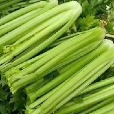 西芹