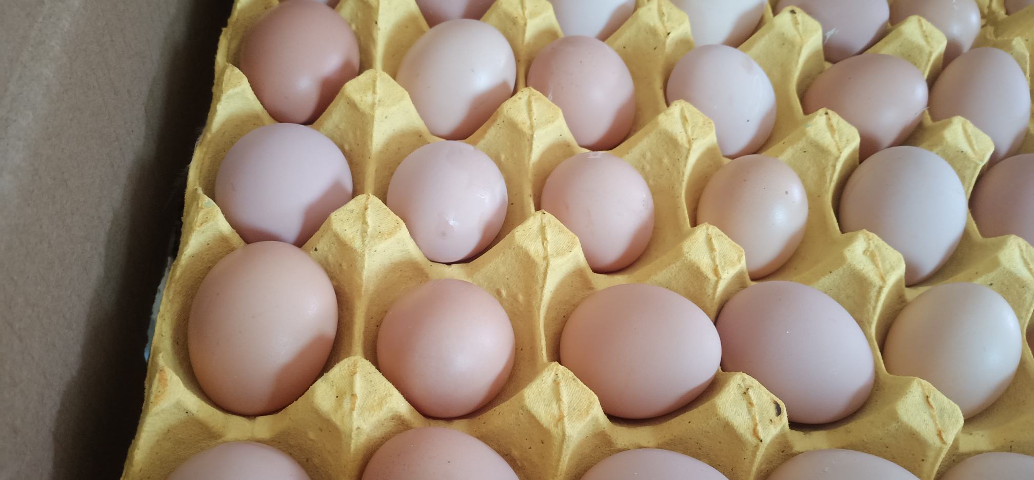 家庭厨房中使用可生食鸡蛋制作早餐场景