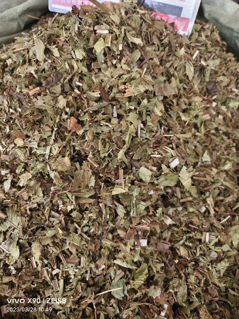 中药材泽兰新货货源充足批发零售保证质量