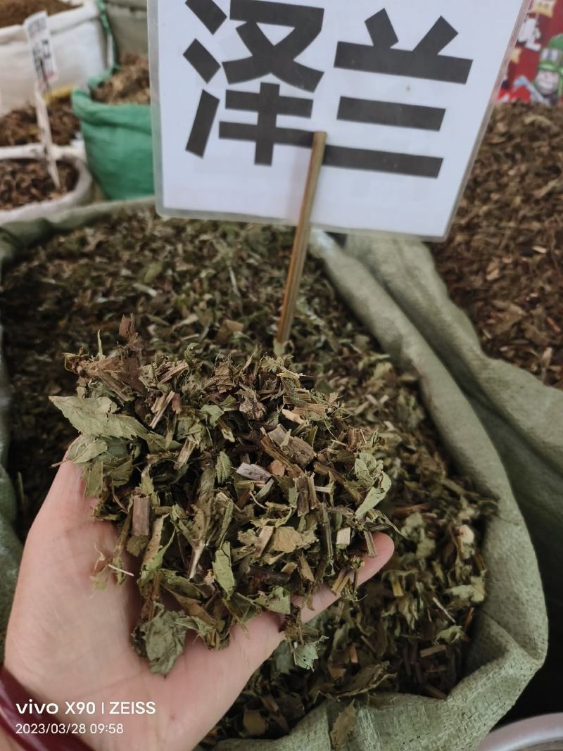 中药材泽兰新货货源充足批发零售保证质量