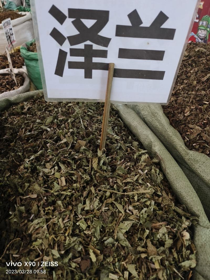 中药材泽兰新货货源充足批发零售保证质量