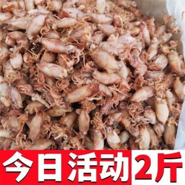 深海小海兔干海鲜干货特产小墨鱼仔籽乌贼干鱿鱼干笔管鱼