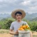 广西桂林高山夏橙，支持平台对接，一件代发