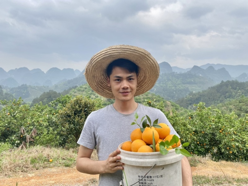 广西桂林高山夏橙，支持平台对接，一件代发