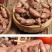 深海小海兔干海鲜干货特产小墨鱼仔籽乌贼干鱿鱼干笔管鱼