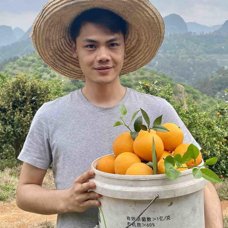 广西桂林高山夏橙，支持平台对接，一件代发
