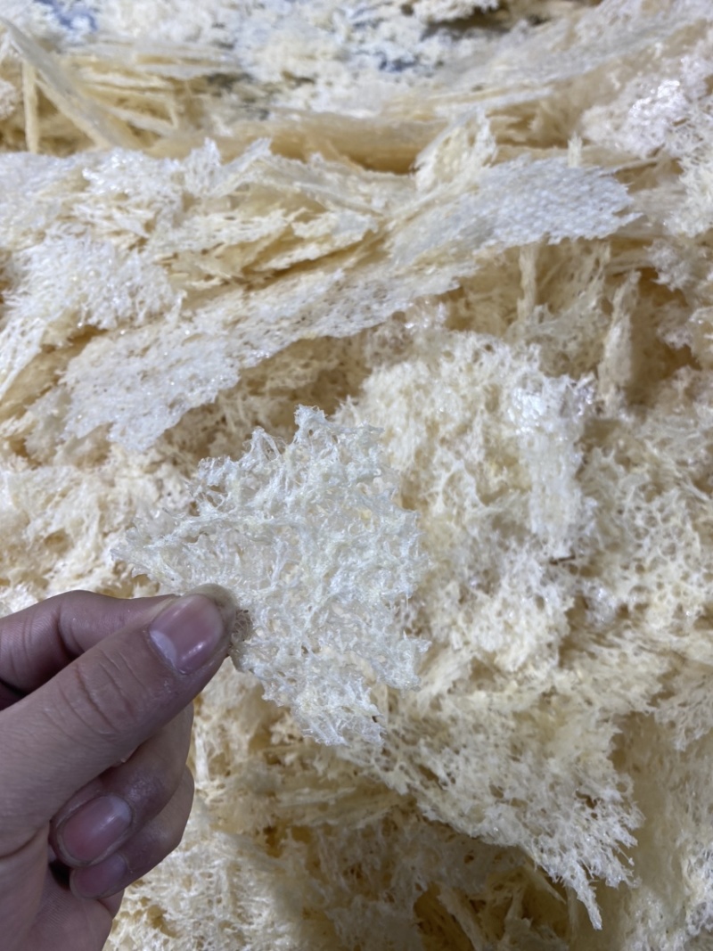 福建古田本草银耳糯耳高山生态有机免洗免泡银耳无糖冲泡代餐