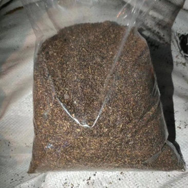 安徽中粮木薯酒糟（DDGS）