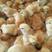 海兰褐蛋鸡苗（海兰灰蛋鸡苗）年产300枚