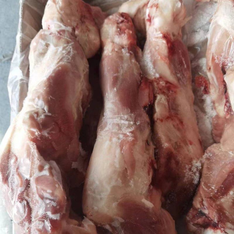 带腱后腿骨