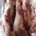 带腱后腿骨