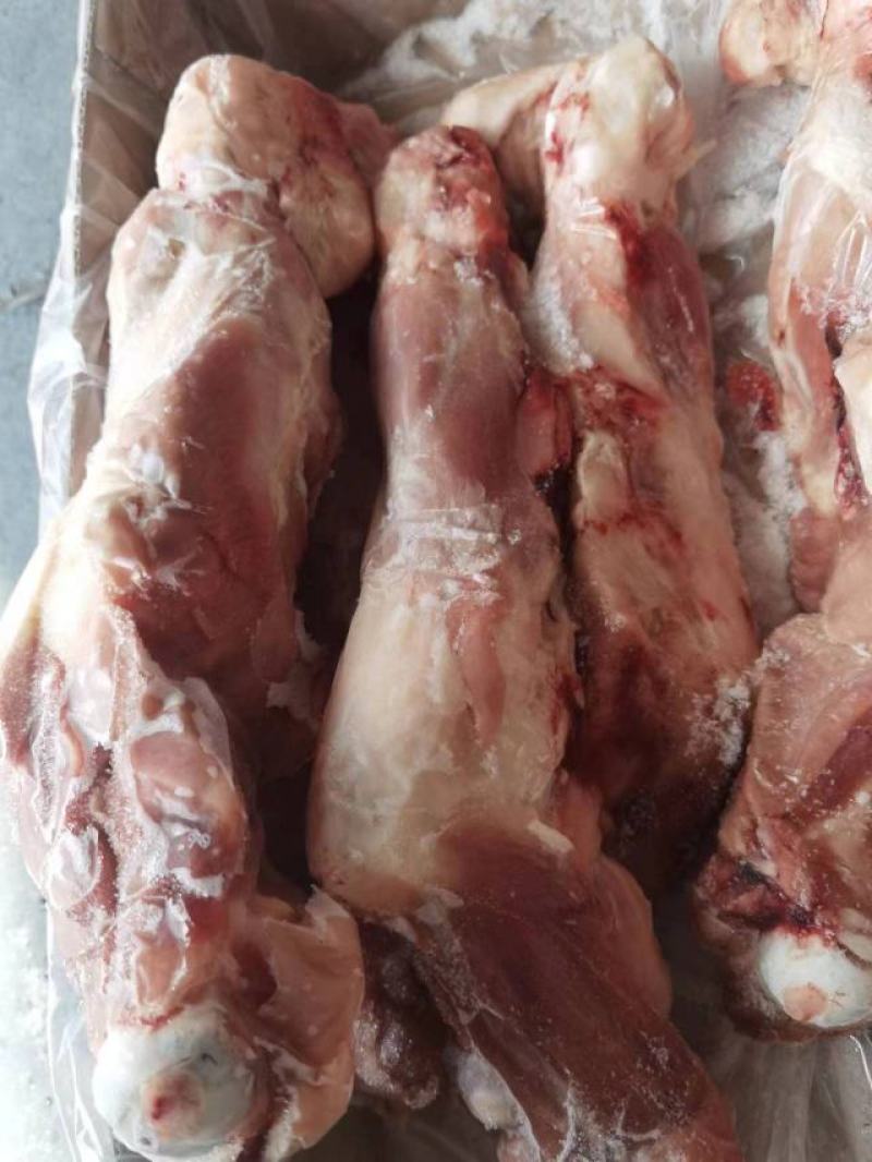 带腱后腿骨