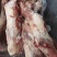 带腱后腿骨