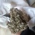 荆芥砠年薪货大货优惠