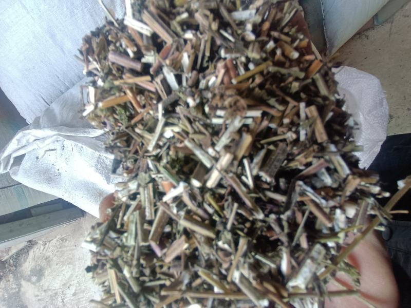 荆芥砠年薪货大货优惠