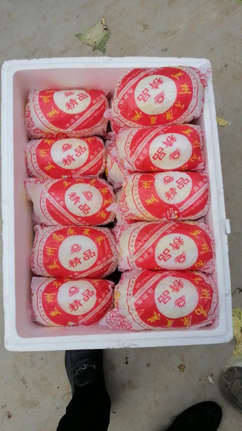 娃娃菜大娃娃菜小娃娃菜各种精品包装电商货市场货