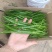 7号青线椒