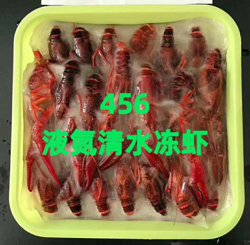 清水冻虾，小龙虾，清水小龙虾，液氮清水冻虾，肉质Q弹
