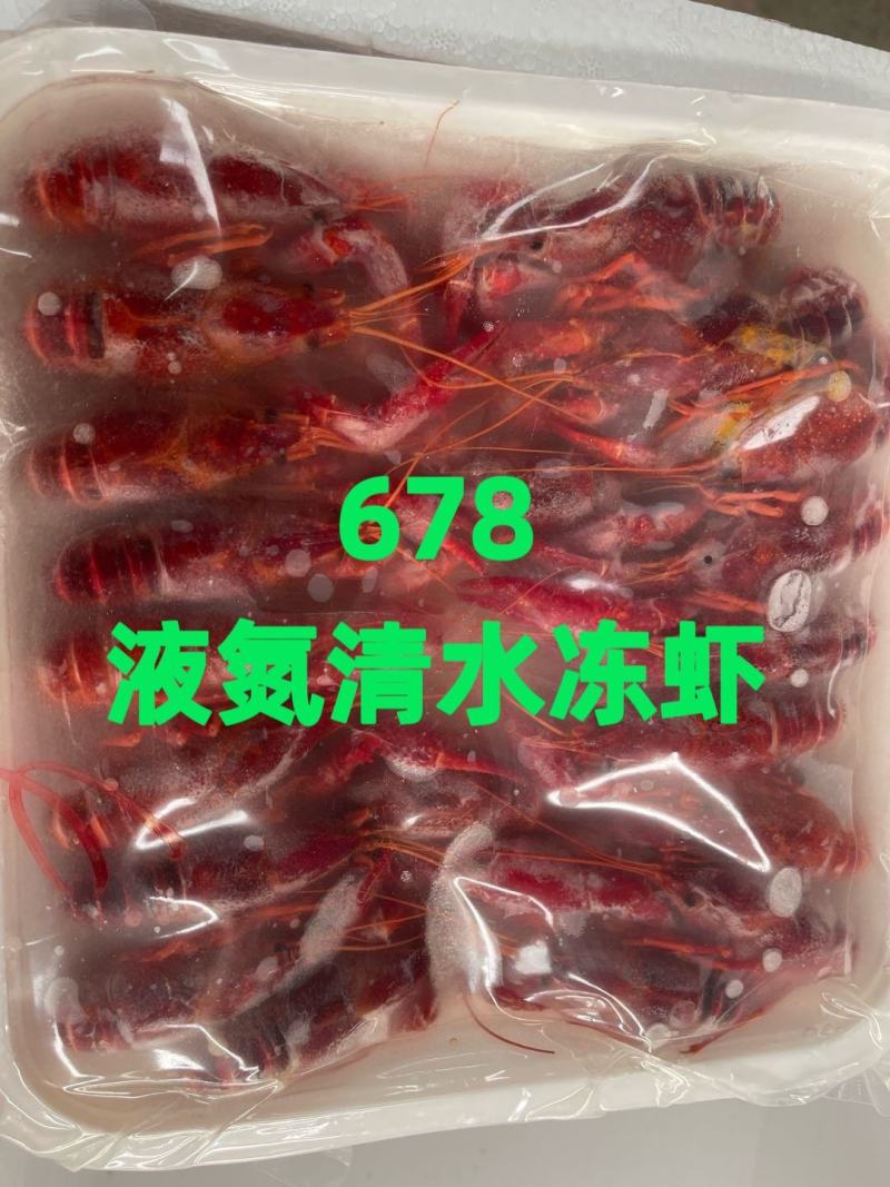 清水冻虾，小龙虾，清水小龙虾，液氮清水冻虾，肉质Q弹