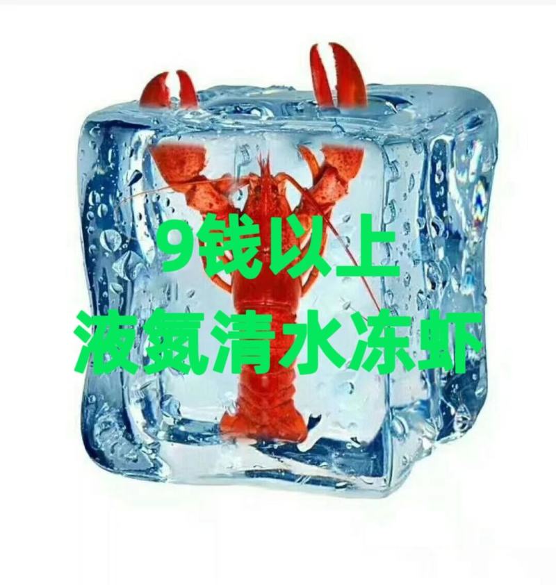清水冻虾，小龙虾，清水小龙虾，液氮清水冻虾，肉质Q弹