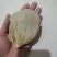 羊百叶水发羊肚火锅冒菜串串食堂美味食材新食材新口味感觉好