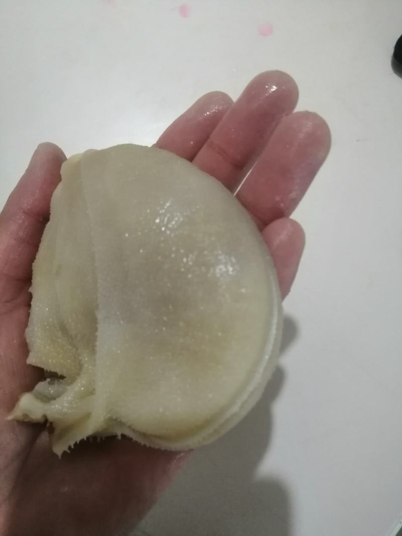 羊百叶水发羊肚火锅冒菜串串食堂美味食材新食材新口味感觉好