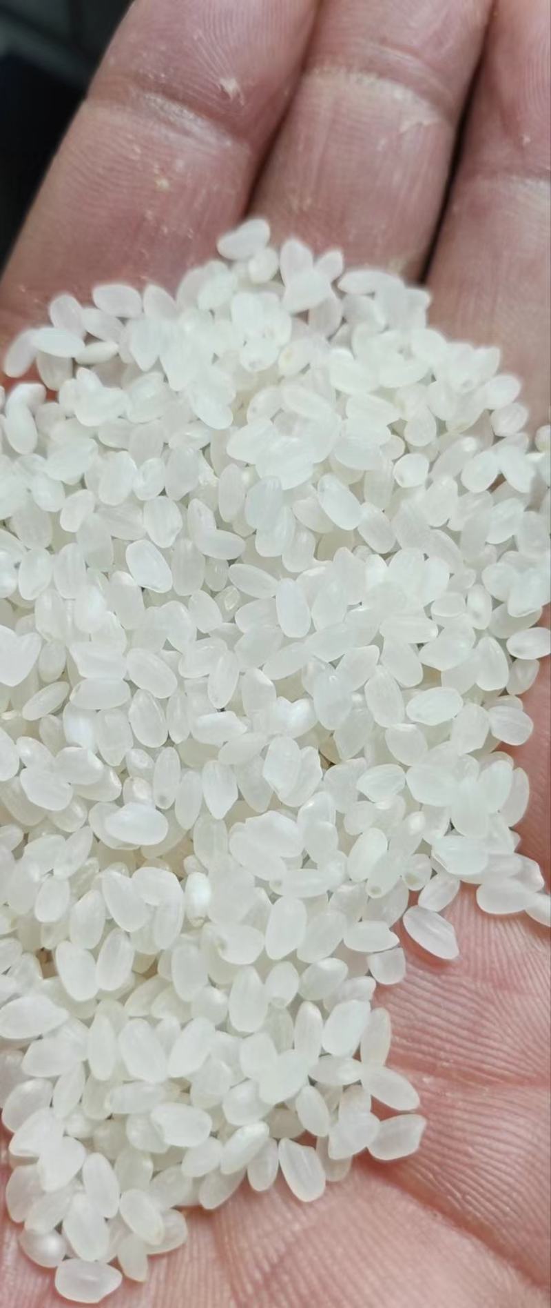 新粮珍珠米
