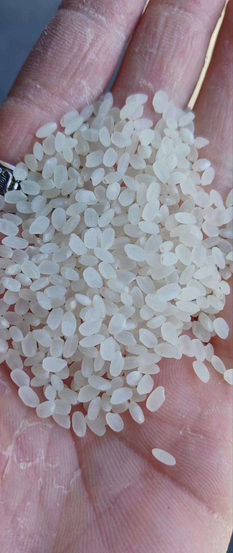 新粮珍珠米