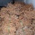 【推荐】广西山区野生五指毛桃（生鲜通货加工）大量有货