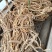 【推荐】广西山区野生五指毛桃（生鲜通货加工）大量有货
