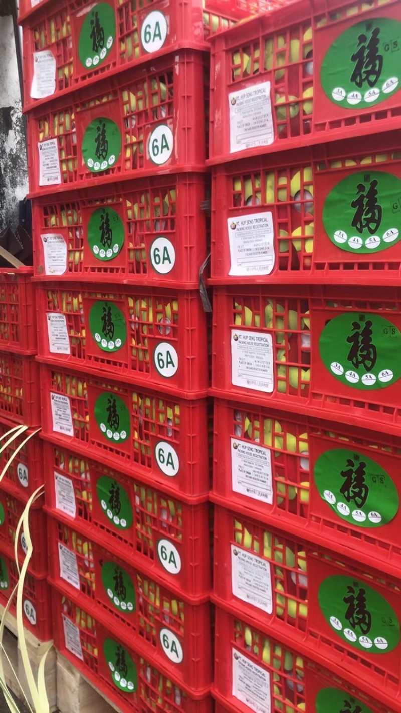 【精品】山竹原产地直供一手货源欢迎选购