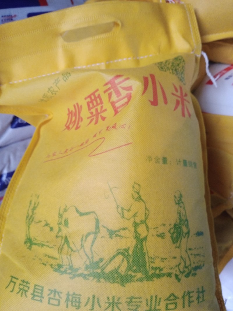 谷子，养胃佳品，食用，如果入药有清热、清渴，滋阴