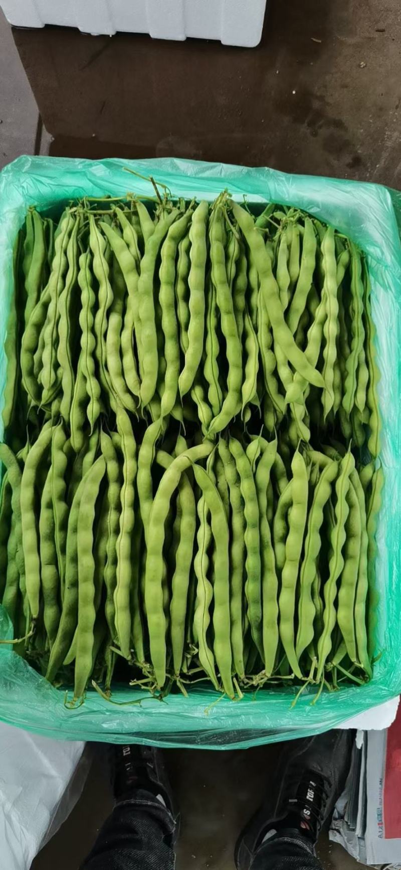 云南大青豆，线椒玉米大量供应