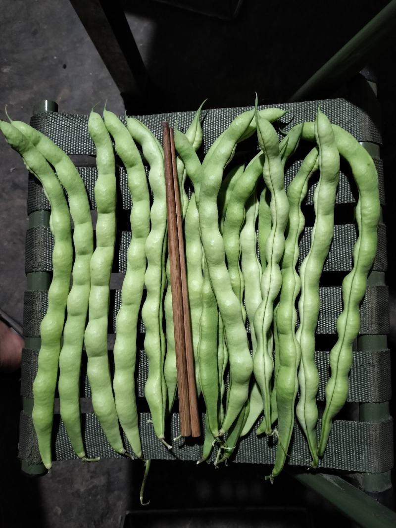 云南大青豆，线椒玉米大量供应