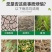 含腐殖酸水溶肥，疏松土壤，保水保肥，增根壮苗，大量供应