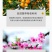 含腐殖酸水溶肥，疏松土壤，保水保肥，增根壮苗，大量供应
