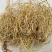 中药材野生大伸筋牛尾菜牛尾蕨牛尾结大通根正品250克包邮