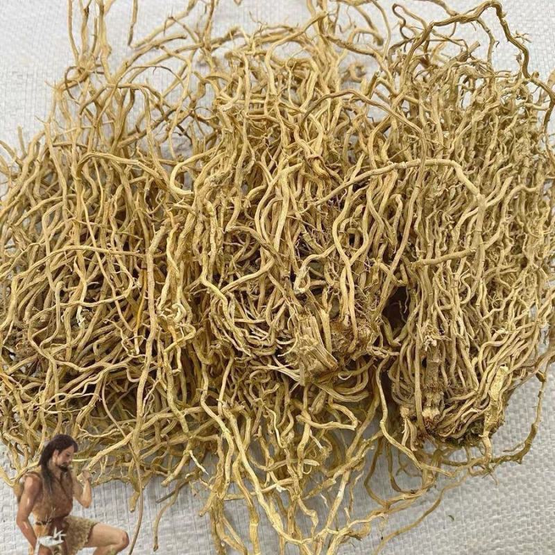 中药材野生大伸筋牛尾菜牛尾蕨牛尾结大通根正品250克包邮