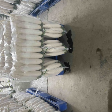 四排精品